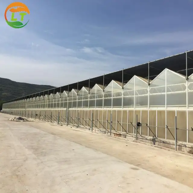 マルチスパン水耕栽培温室システム農業ポリカーボネート温室