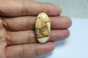 100% ธรรมชาติฟรีขนาดรูป Jasper Cabochon อัญมณีผสมรูปร่างและขนาดสําหรับเครื่องประดับที่ใช้ในราคาขายส่งจํานวนมาก - Product Image 2