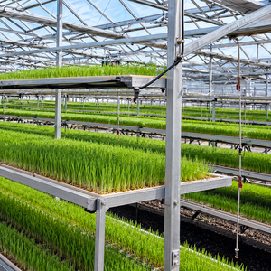 Ferme hydroponique en conteneur maritime 40HQ, salle de culture verticale pour l'herbe, irrigation automatique, contrôle climatique pour l'orge et l'alfalfa - Product Image 5