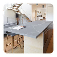 Plaques en plastique acrylique Staron Solid Surface Color Big Slab 3660*760*12mm avec garantie de 10 ans