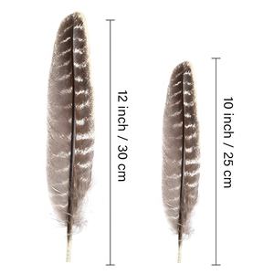 Plumes <span class=keywords><strong>d</strong></span>'ailes de dinde sauvage naturelles de 25-30 cm en gros pour l'artisanat DIY, coiffures indiennes, <span class=keywords><strong>d</strong></span>écorations <span class=keywords><strong>d</strong></span>'ailes <span class=keywords><strong>d</strong></span>'ange - Product Image 2