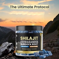Gummies véganes OEM de Shilajit de l'Himalaya, Ashwagandha, Mousse de mer, Crinière de lion – Complément alimentaire quotidien à base de plantes – Marque privée