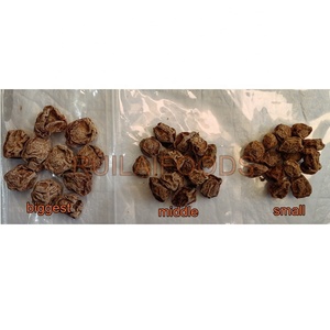 Petite taille chinoise JZ <span class=keywords><strong>Prune</strong></span> conservée Hua Mei Dégustation aigre-douce <span class=keywords><strong>Prune</strong></span> <span class=keywords><strong>salée</strong></span> conservée - Product Image 3