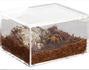 Kotak Pemeliharaan Reptil Akrilik Magnetik Kandang Reptil Transparan Tangki Terarium untuk Tarantula Scorpion Sling Ispod Invertebrate