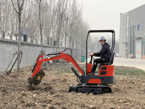 Levering van alle soorten graafmachines: standaardmodellen, minigraafmachines en gebruikte machines - Product Image 4