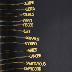 Collier personnalisé avec logo, en acier inoxydable plaqué or 18 carats, résistant à l'eau et inaltérable, avec plaque nominative pour femme - Product Image 5