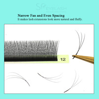 Nouveaux cils pré-faits fins et doux à effet mat, en forme de 3DW, 4DW, 5DW, extensions de cils en gros, plateaux de cils Clover, cils brésiliens