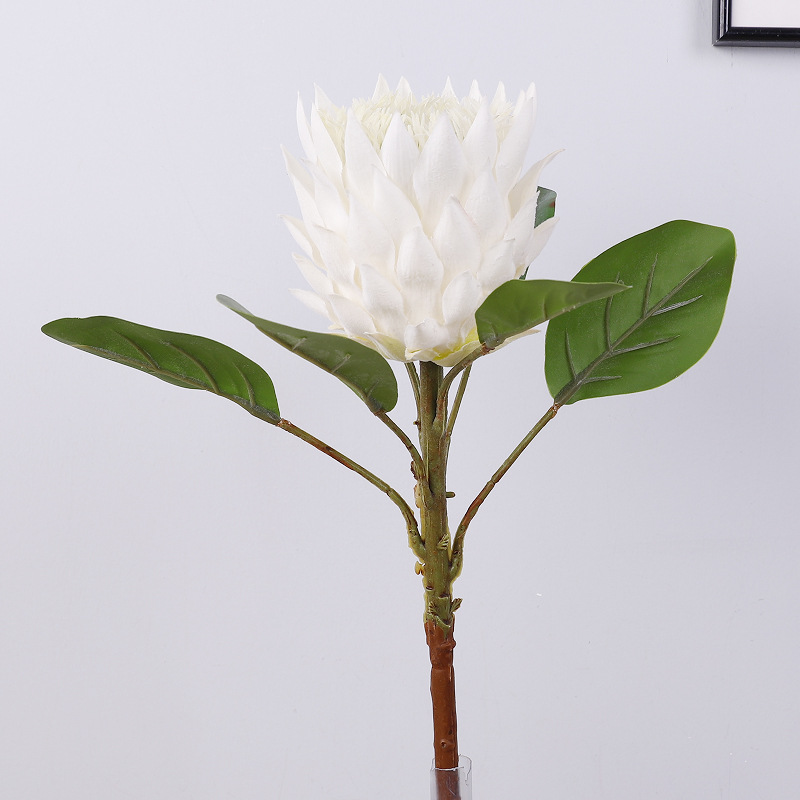23-1A Emperor Flower [Milk White]