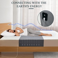 Feuilles de mise à la terre en fibre d'argent 10% et coton biologique 90% pour matelas Queen King Toutes tailles Style hôtel Cordon de stylo à carreaux 104 "* 24"