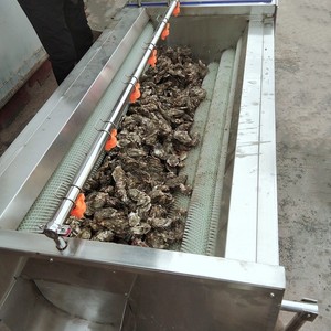 Laveuse-éplucheuse industrielle multifonction à rouleaux pour pommes de terre, carottes, gingembre et légumes racines - Product Image 6