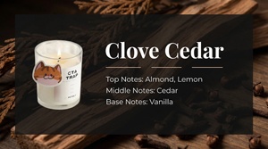 Bougie en cire de soja personnalisée, sans danger pour les animaux domestiques, non toxique, parfumée aux fruits, huile essentielle, aromathérapie d'intérieur - Product Image 5