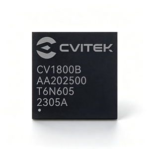 HT Meilleures ventes CVITEK CV1800B SG2000 SG2002 RISC-V 64 bits Linux DUO S DUO 256 256 Mo/512 Mo Neuf et Original en Stock - Product Image 1