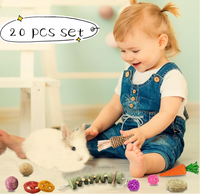 20 jouets à mâcher lapin naturel lapin pomme bois herbe Timothy sticks friandise jouet pour cochons d'inde Hamster Chinchillas