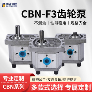 Bombas Hidráulicas de Pistón en Miniatura Serie CBN-F3, Disponibles en Versiones Eléctricas al por Mayor y Personalizadas - Product Image 2