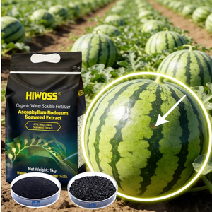 Extracto de Algas Negras en Polvo con 25% de Ácido Algínico / Fertilizante en Escamas para Agricultura Orgánica - Product Image 1
