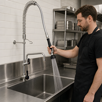 Robinet de pré-rinçage professionnel tout SUS304, gâchette ergonomique à faible effort, douchette 2 jets et bec pivotant 12 po