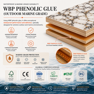 Panel de Madera Contrachapada de Abedul Resistente al Agua, Panel Decorativo de Piedra de Lujo <span class=keywords><strong>para</strong></span> Paredes Exteriores, Ideal <span class=keywords><strong>para</strong></span> Proyectos de <span class=keywords><strong>Duchas</strong></span> y Spas en Yates - Product Image 5