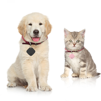 Alarme de déconnexion Bluetooth, traceur anti-perte, alarme intelligente Diamond, localisateur basse consommation pour animaux de compagnie et clés