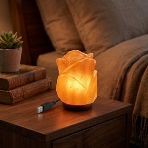 High Quality 100% Pure Original Himalayan Salt Lamp New Design Elephant Mini <b>USB</b> <b>Night</b> <b>Light</b> Decorative Natural Craft salt lamp - Product Image 1