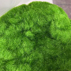 wholesale 500g 5 mm artificial moss hair grass wall potted