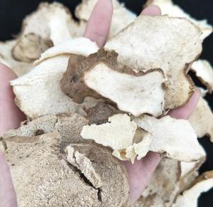 Mian <span class=keywords><strong>bi</strong></span> <span class=keywords><strong>Xie</strong></span> thảo mộc hoang dã nguyên khô tự nhiên Rhizoma dioscoreae septemlobae để bán - Product Image 3