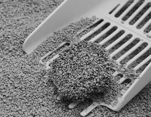 Fabriek Levert Natuurlijke Natriumbasis Grond Gebroken Zand Oem Bentoniet Kattenbakvulling Zeer Hoge Prestaties - Product Image 6