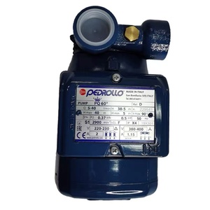 HY PEDROLO Pompa Idraulica <span class=keywords><strong>Pedro</strong></span> PKM60 HY - Product Image 6