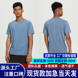 T-shirt en nylon bleu pour homme, manches courtes, couleur unie, coupe ajustée, vêtements de sport - Product Image 5
