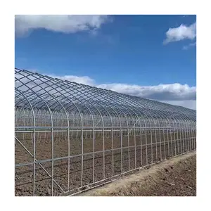 8x30 metal frame commercial single tunnel vegetable green house hoops agricultural tomato greenhouse for farm sale