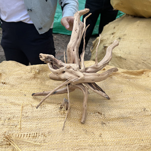 Bể cá bể cá tốt bắt nguồn cảnh quan gỗ nhện lũa - Product Image 6