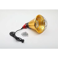 Lampe chauffante infrarouge 110V-240V de haute qualité à prix d'usine, 175W/250W, équipement d'élevage