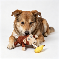 Jouet en peluche pour chien, personnalisé avec logo, durable et résistant à la mastication, vente en gros