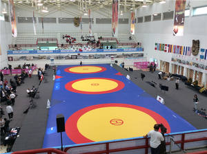 Tapis <span class=keywords><strong>de</strong></span> lutte avec cercle creux, surface standard <span class=keywords><strong>de</strong></span> 1m x 12m x 5cm/6cm, course <span class=keywords><strong>de</strong></span> 1m <span class=keywords><strong>de</strong></span> large - Product Image 3