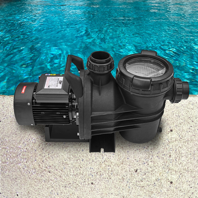 Pool Circulation Pump 110V 220v 2.5 hp 3hp Pump Pool Swimming Pool Water Pumps