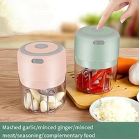 C692 Vente en gros d'usine Mini pilon à ail électrique sans fil 100/250ml hachoirs à viande mélangeur automatique USB presse rechargeable