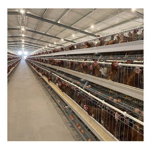 Tel örgü poulailler katlanabilir tavuk kafes 1880*2320*1830 kümesleri - Product Image 6