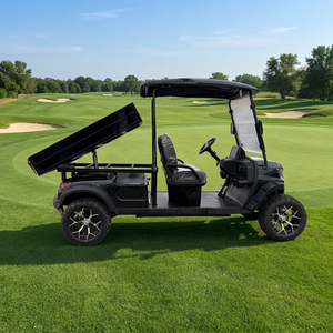 Nouvelle conception de voiturette de golf électrique noire à 2 places homologuée pour la route avec benne de chargement, véhicule <span class=keywords><strong>utilitaire</strong></span> électrique tout-terrain pour l'extérieur - Product Image 6