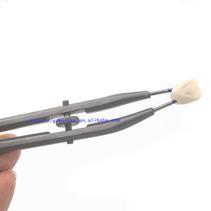Porte-<span class=keywords><strong>couronne</strong></span> pour instruments dentaires dents en zircone pince à <span class=keywords><strong>couronne</strong></span> intérieure glaçure en céramique outils de laboratoire de bricolage pour prendre la <span class=keywords><strong>couronne</strong></span> tenant la <span class=keywords><strong>dent</strong></span> - Product Image 3