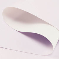 Bâche Enduite PVC 440 de Haute Qualité Imperméable pour Tentes de Cérémonie et Rouleau de Banderole Flex pour Impression Numérique