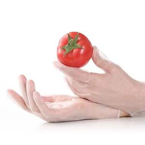Gants en vinyle jetables de qualité alimentaire, taille moyenne, transparents, sans latex, non stériles, sans poudre, pour usage domestique et alimentaire - Product Image 1