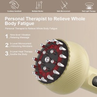 Nouvel Instrument Électrique Rechargeable Gua Sha pour Massage Domestique, Brosse de Massage des Méridiens et Ventouses