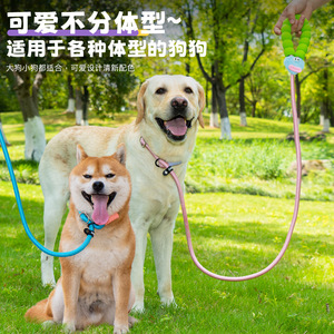 New cross-border pet leash for small and medium-sized dogs with <b>sponge</b> <b>handle</b>, dopamine dog leash manufacturer, in stock. - Product Image 4