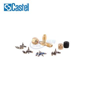Válvula reductora de presión Castel 1/4 pulg. M12S para bomba de productos de aceite de alta presión y flujo lineal - Product Image 1