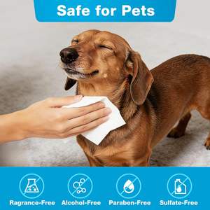 Lingettes nettoyantes bio personnalisées grand format pour chiots (oreilles, yeux, visage) et lingettes blanchissantes pour doigts et dents d'animaux de compagnie - Product Image 1