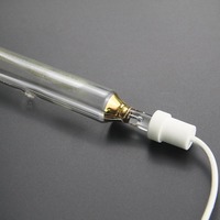 Lampu Iodine Gallium Industri untuk Pencetakan UV dan Pembuatan Plat PS