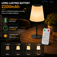 Lampe de table solaire LED rechargeable CoolQing avec télécommande, lumière RGB, décoration d'ambiance pour jardin extérieur, vente en gros, personnalisable