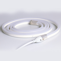 Bandes lumineuses LED néon flexibles 220V/110V/24V/48V IP68 étanches pour extérieur, décoration de signalétique DIY, 10x15mm, monocolores, garantie 10 ans