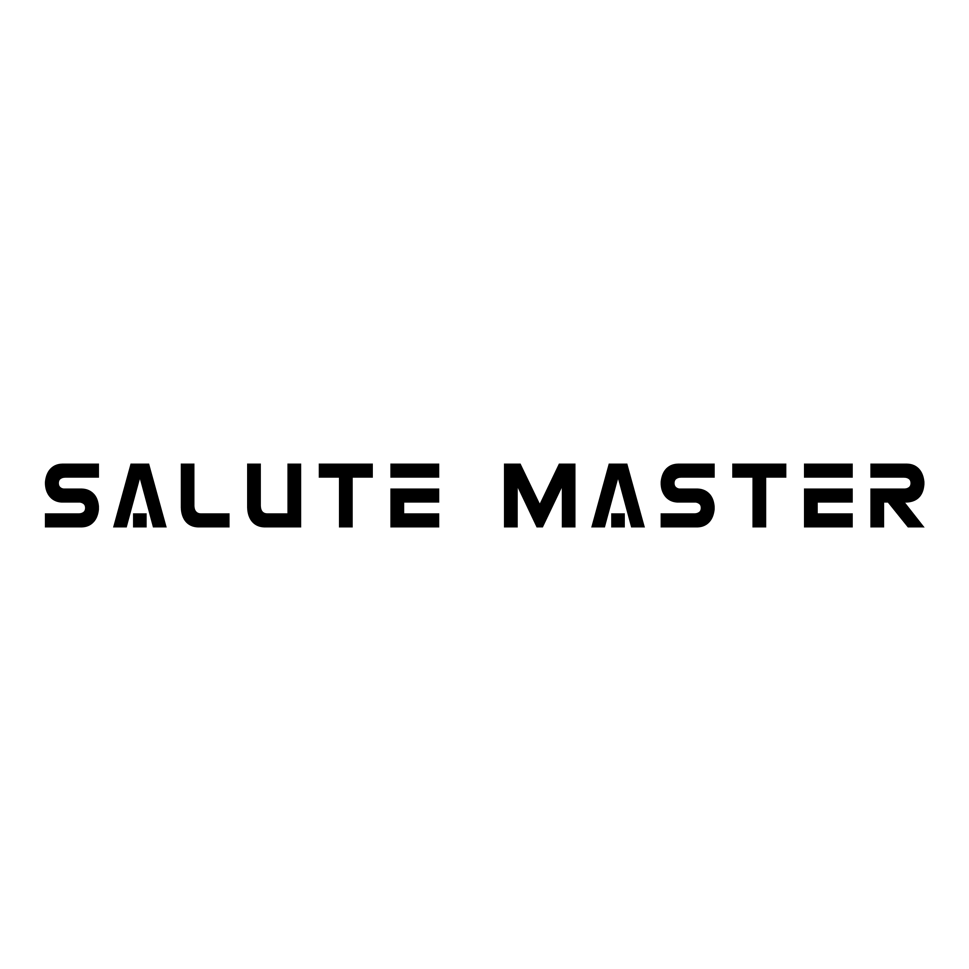 Liaoyang Salute Master Technology Co., Ltd. logo