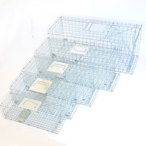 Rete metallica pieghevole cane gatto gatto selvatico gabbia trappola umana cattura e rilascio gabbia grande animale vivo trappola per animali selvatici - Product Image 6