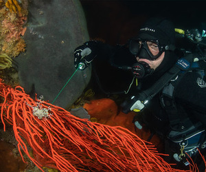 Orcatorch D570 1500 Lumens 2-Trong-1 8 ° Trắng Dầm Màu Xanh Lá Cây Hoặc Ánh Sáng Màu Đỏ Lặn Đèn Pin Với Màn hình Chuyển Đổi Dưới Nước 150M Lặn - Product Image 5